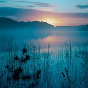 Meet your Posher, Abigail